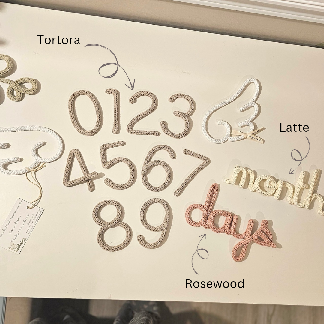 Baby Milestones Angel Wings Set