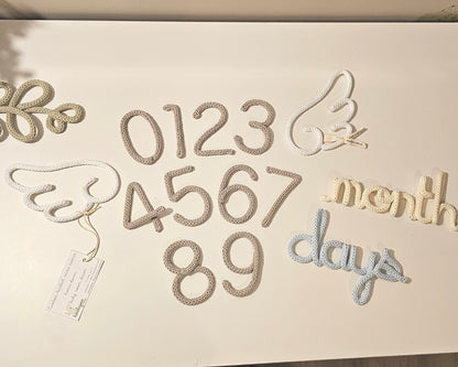 Baby Milestones Angel Wings Set