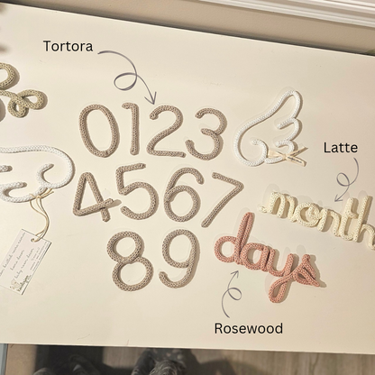 Baby Milestones Angel Wings Set